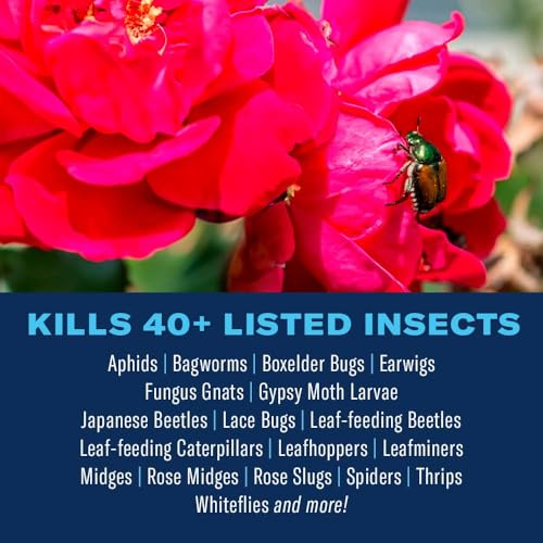 BioAdvanced Dual Action Rose and Flower Insect Killer, Continuous Rose Bug Spray, 15.7 oz - Image 2