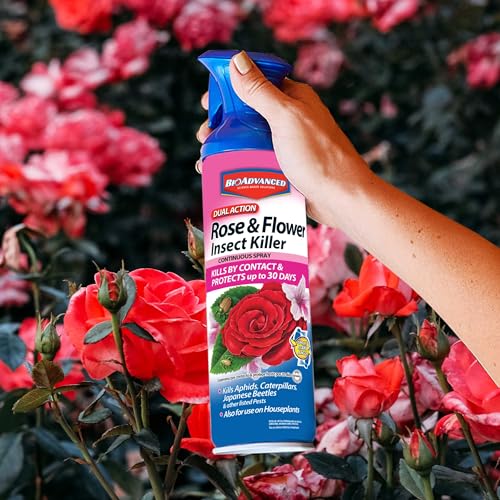 BioAdvanced Dual Action Rose and Flower Insect Killer, Continuous Rose Bug Spray, 15.7 oz - Image 5