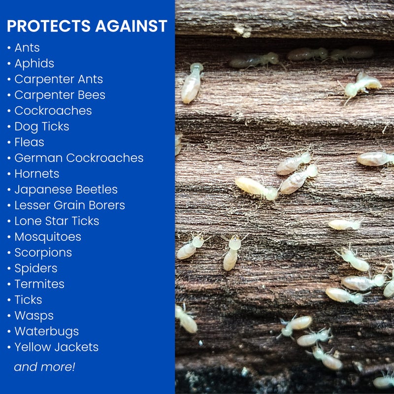 BioAdvanced Carpenter Ant & Termite Killer Plus, Ready-to-Use, for Insects, 1.3 Gal - Image 2