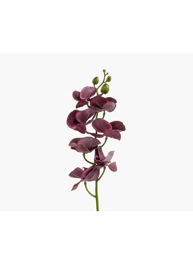 2XL Home Artificial Orchid Flower in Maroon for Home Decor - Image 1