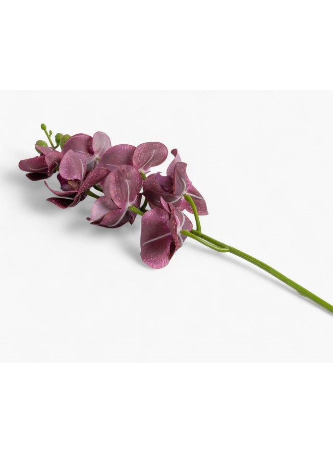 2XL Home Artificial Orchid Flower in Maroon for Home Decor - Image 2