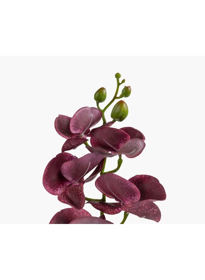 2XL Home Artificial Orchid Flower in Maroon for Home Decor - Image 3