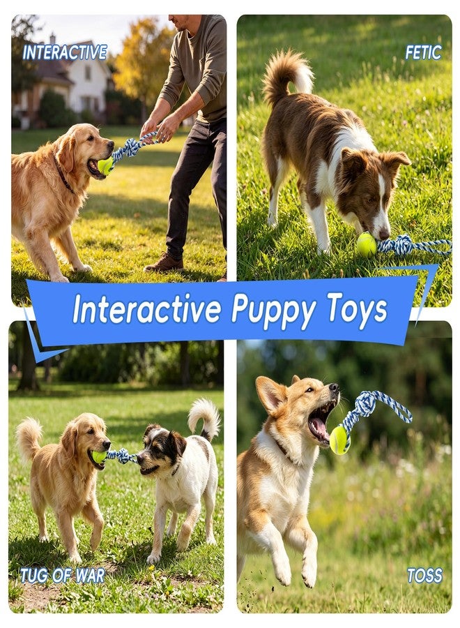 Erhalithegro Interactive Tug of War Rope Toy for Medium & Small Dogs - Outdoor Tether Tug Toy with 1 Knot & Tennis Ball, Puppy Teething Chew Cotton Toy - Image 5