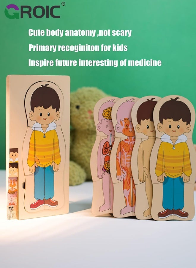 GROIC My Body Parts Puzzle for Toddlers, Kids Girls Boys Wooden Anatomy Puzzle 3-5 Years Old Preschool Learning Game Human Body Cognitive Toys, Montessori Skeleton Toy (Boys) - Image 2