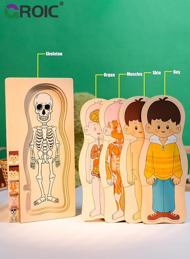 GROIC My Body Parts Puzzle for Toddlers, Kids Girls Boys Wooden Anatomy Puzzle 3-5 Years Old Preschool Learning Game Human Body Cognitive Toys, Montessori Skeleton Toy (Boys) - Image 3