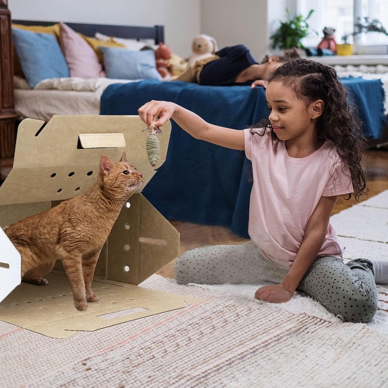 Oasis Disposable Cardboard Pet Carrier 12Case - Image 4