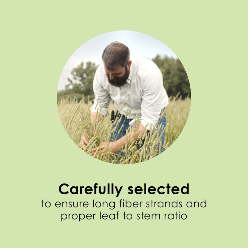 Kaytee تيموثي هاي من كايتى، عالي الألياف، مزروع خصيصًا للحيوانات الصغيرة، الأرانب، خنازير غينيا، الشينشيلا، 2 باوند - Image 5