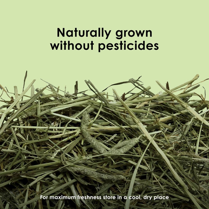 Kaytee تيموثي هاي من كايتى، عالي الألياف، مزروع خصيصًا للحيوانات الصغيرة، الأرانب، خنازير غينيا، الشينشيلا، 2 باوند - Image 3