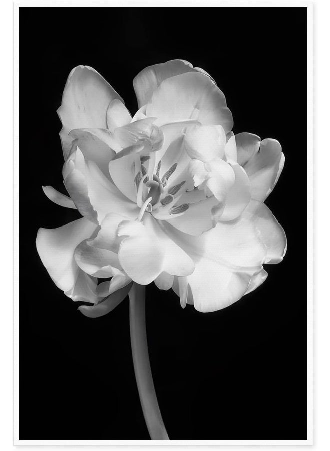 Home Trove Oitrela Canvas Prints Wall Art For Home and Office Wall Decoration Black And White Flower Canvas Artwork Print Painting Picture Floral Modern Abstract Unframe Wall Art for Living Room Bedroom Kitchen  - Image 1