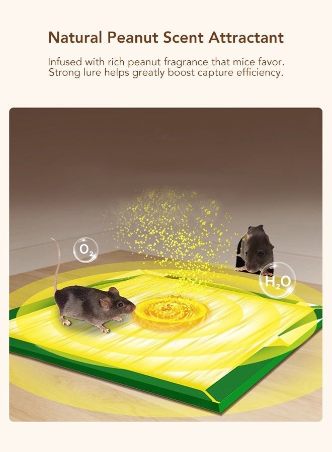 Extra Large Thick Mouse Glue Traps, Super Strong Sticky Rat Glue Boards, Foldable Multi Shape Rodent Catcher Boards, Mouse Trap for Home Kitchen Garage Warehouse Indoor Outdoor Rodent Control, Single Pack 21x16cm Heavy Duty Sticky Mouse Trap Sheet - Image 2