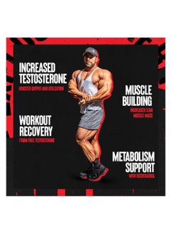 UNIVERSAL NUTRITION Animal Advanced Test Pill Packs 21 Day Supply 21 Packs  - Image 3