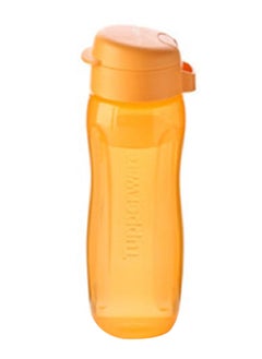 Lightweight and Leak-Proof Plastic Eco Water Bottle Orange 500 ml 11169999 - pzsku/ZC95EA50CE185776D168CZ/45/_/1705301255/a17c324a-8521-4294-b856-31eb86d89d51