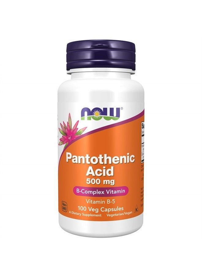 now Supplements, Pantothenic Acid (Vitamin B-5) 500 mg, B-Complex Vitamin, 100 Capsules  - Image 1