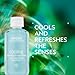 Aveda Cooling Balancing Oil Concentrate | Massage Into Sore, Achy Muscles | with Certified Organic Peppermint, Blue Chamomile | Naturally Derived* Menthol, 1.7 Fl Oz - Image 3