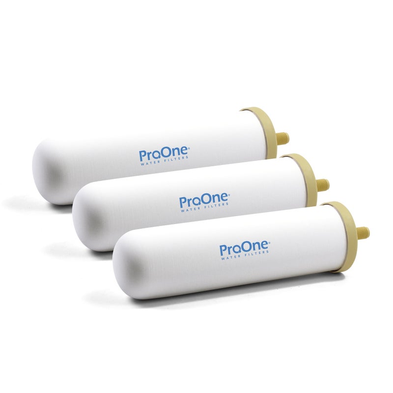 برو واحد مجموعة بديلة من مرشح الجاذبية ProOne G-Series مقاس 9 بوصات - 3 عبوات - متوافقة مع أنظمة تنقية المياه ProOne & Berkey Gravity - معتمدة من NSF-42 - Image 1