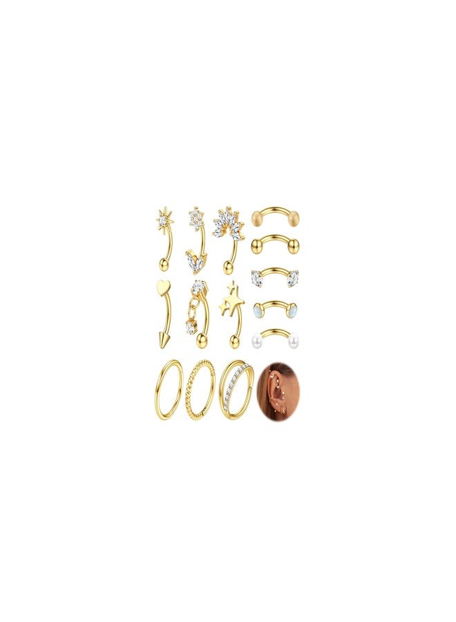 ORAZIO 16g Rook Piercing Jewelry Surgical Steel Vertical Labret Lip Jewelry Gold Eyebrow Piercing Rook Daith Earrings for Women Cartilage Curved Barbell Daith Surface Tragus Piercing Jewelry 14 Pcs G1 - Image 1