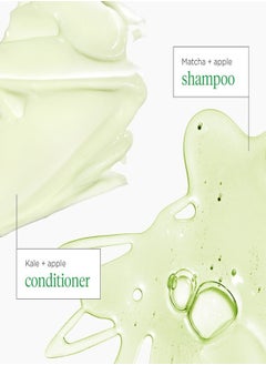 Briogeo Superfoods Apple, Matcha + Kale Shampoo + Conditioner Duo (2 x 369 ml)  - Image 5