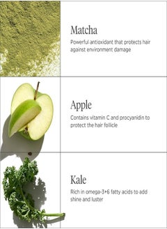 Briogeo Superfoods Apple, Matcha + Kale Shampoo + Conditioner Duo (2 x 369 ml)  - Image 4