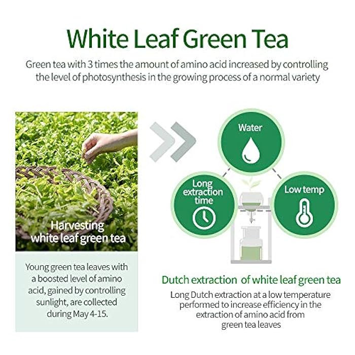 AMOS PROFESSIONAL The Green Tea Shampoo [Fresh - For Oily Scalp] 17.6oz (500g) | Anti-Thinning & Anti- Hair Loss Shampoo for Hair Growth and Cleanse Excess Sebum | Korean Hair Salon Brand - Image 5