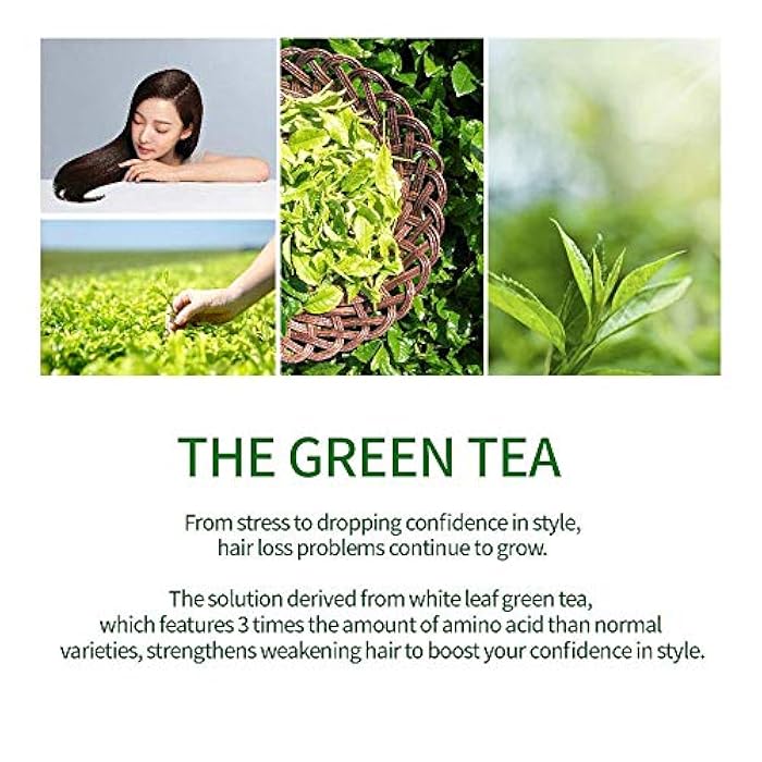 AMOS PROFESSIONAL The Green Tea Shampoo [Fresh - For Oily Scalp] 17.6oz (500g) | Anti-Thinning & Anti- Hair Loss Shampoo for Hair Growth and Cleanse Excess Sebum | Korean Hair Salon Brand - Image 4