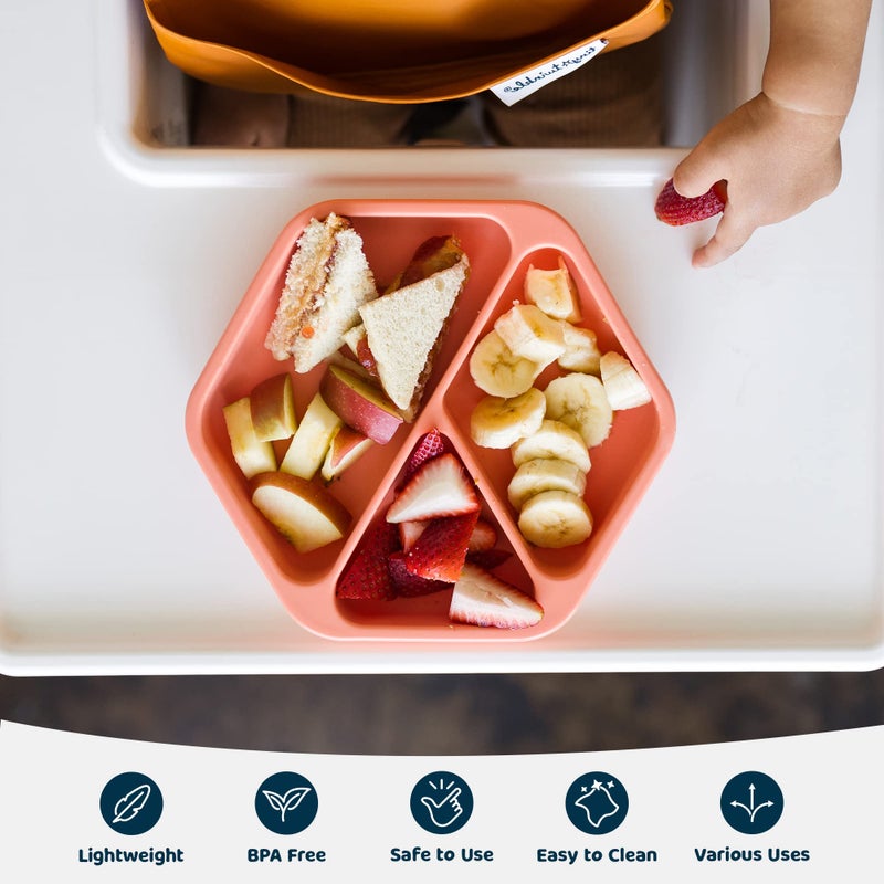 Tiny Twinkle Silicone Suction Baby Plate, Suction Grip Divided Dish for First Foods and Self-Feeding Toddlers, Baby Led Weaning Supplies for Independent Eating (Coral Plate with Lid) - Image 5