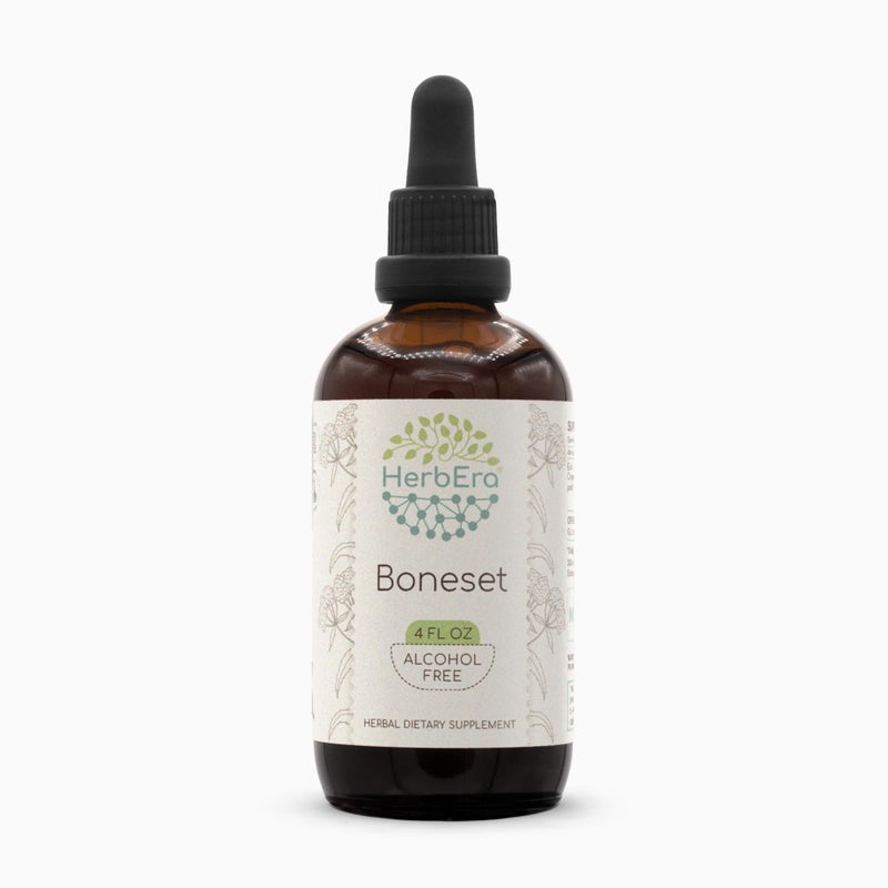 Boneset B120 AlcoholFree Herbal Extract Tincture SuperConcentrated Boneset Eupatorium perfoliatum Dried Herb 4 fl oz