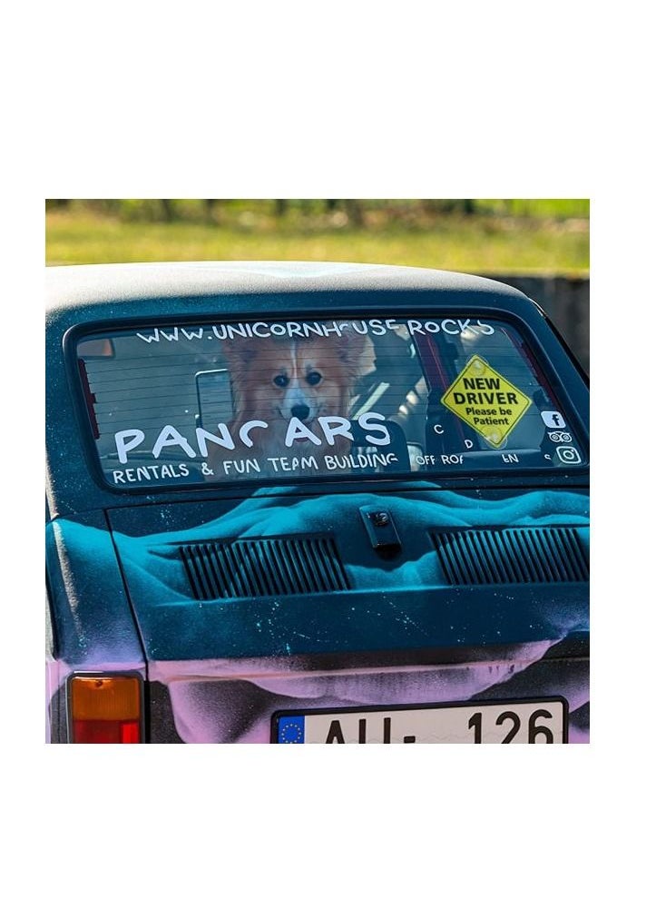 Generic - New Driver Please Be Patient Car Window Signs with Suction Cups 4Pc - Image 1