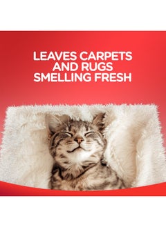 Resolve Carpet and Rug Cleaner Spray, Spot & Stain Remover, Carpet Cleaner Spray, Carpet Cleaner, 22 Ounce  - Image 5