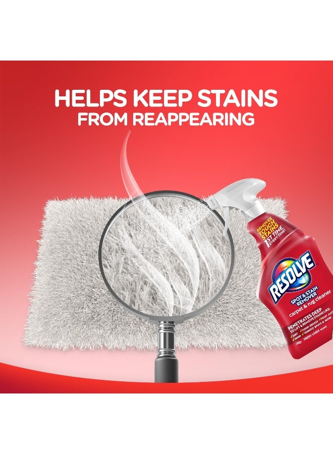 Resolve رذاذ منظف السجاد والسجاد، مزيل البقع واللطخات، رذاذ منظف السجاد، منظف السجاد، 22 أونصة - Image 4