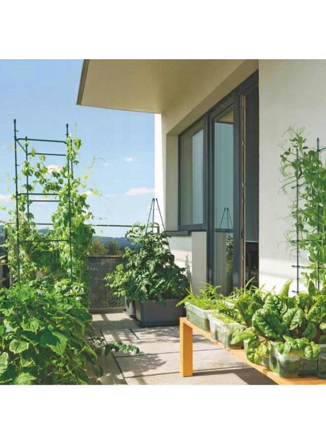 بروسبير بلاست دعامة نباتية متينة بقاعدة مدببة بلون أخضر غابي 120 x 29 x 29 سم IFLS2-G851 - Image 3