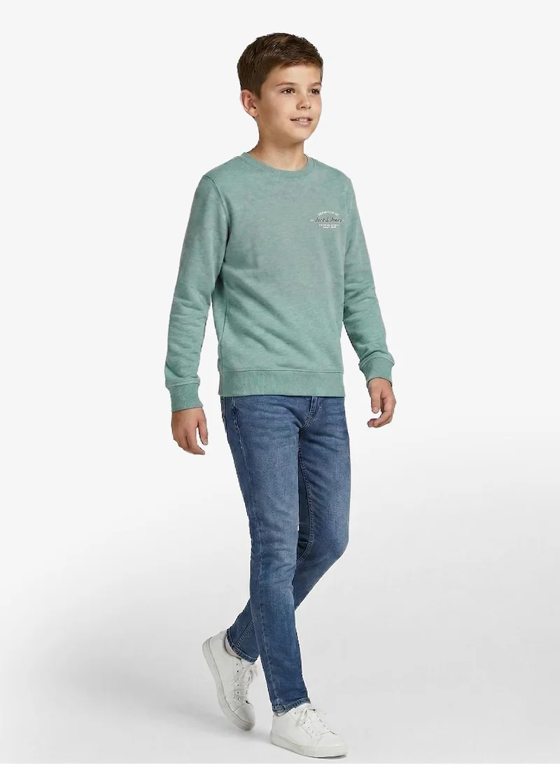 Jack & Jones Junior Kids Jjbrandon Crew Neck Sweatshirt
