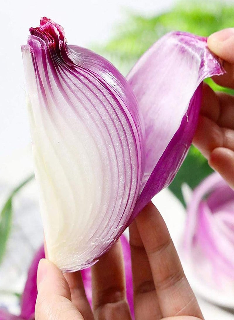 GGOOT 300Pcs Onion Seeds Large Sweet Red Outdoor Vegetable Seedlings for Manor Onion Seeds for Manor - Image 4