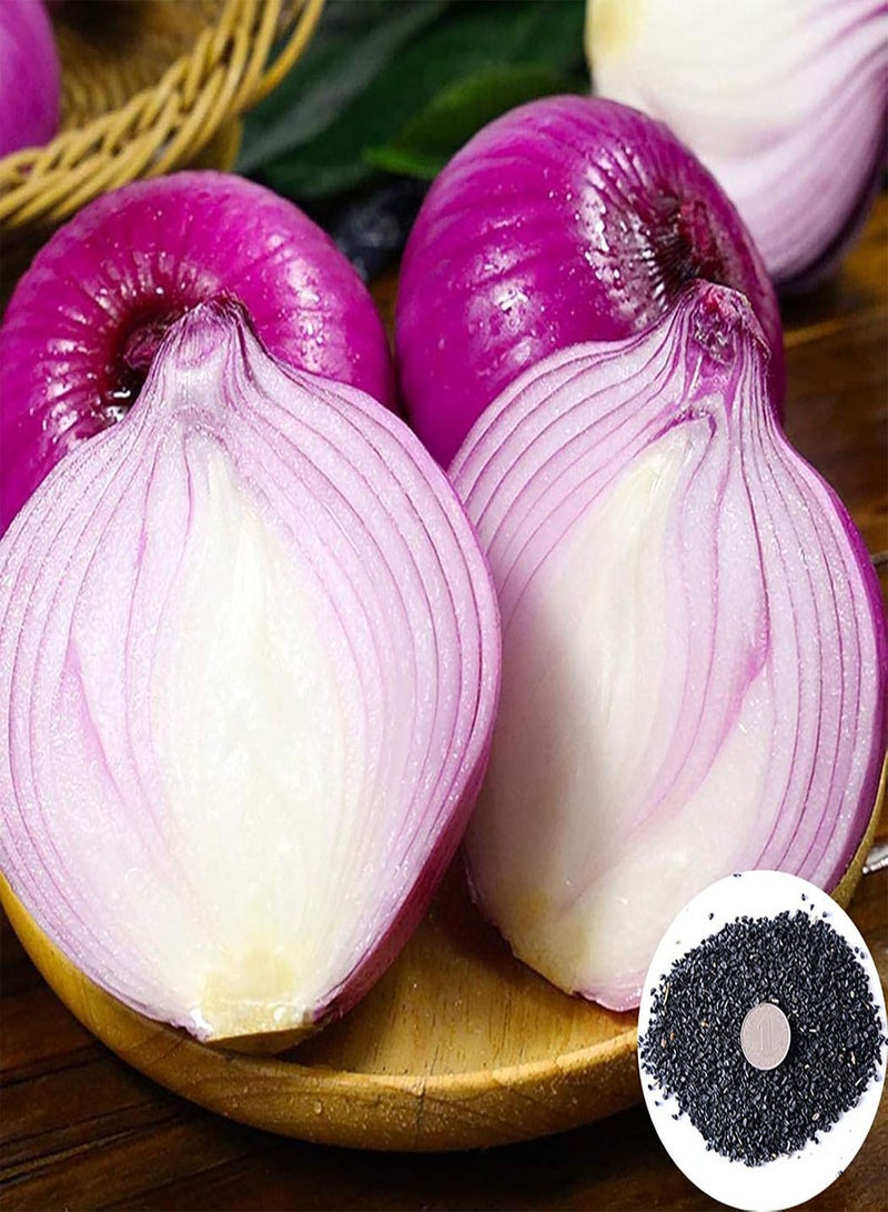 GGOOT 300Pcs Onion Seeds Large Sweet Red Outdoor Vegetable Seedlings for Manor Onion Seeds for Manor - Image 1
