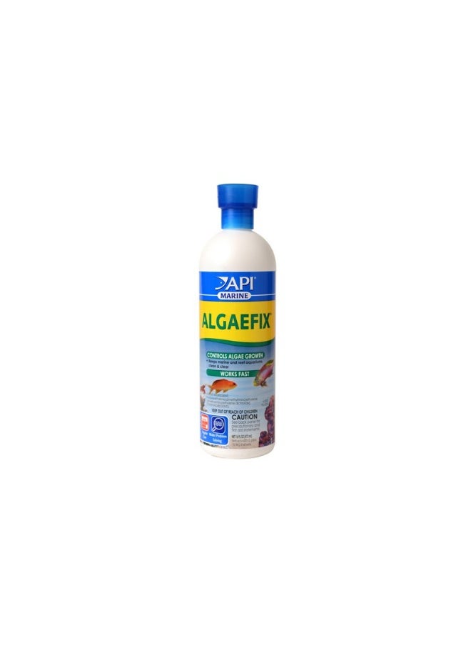 API - API Algaefix Marine 16 OZ - Image 1