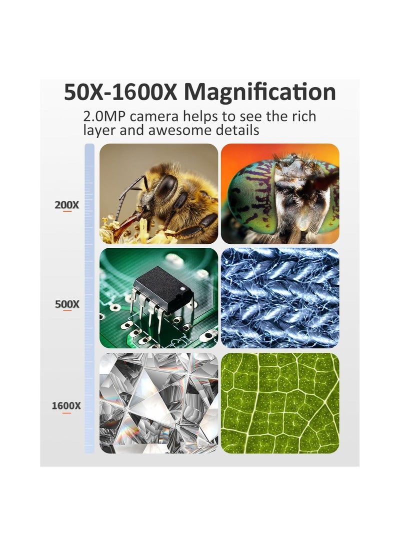 كاميرا ميكروسكوب رقمي محمول، تكبير 50X-1600X، كاميرا ميكروسكوب USB جيب، مكبر تركيز ثابت بدقة HD، للبالغين والأطفال مع 8 مصابيح LED قابلة للتعديل، مكبر عملات لهواتف iPhone و iPad و Android - Image 2