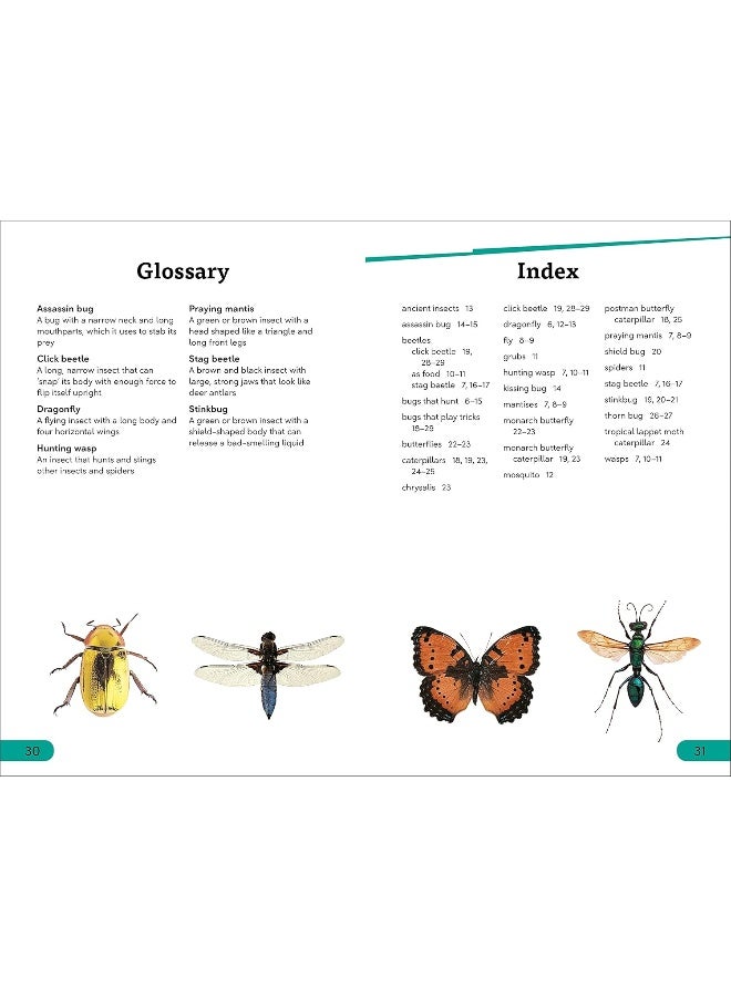 DK Super Readers Level 3 Bugs! Bugs! Bugs!  - Image 2