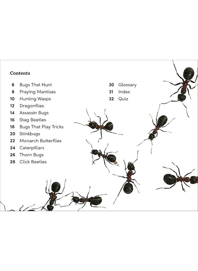 DK Super Readers Level 3 Bugs! Bugs! Bugs!  - Image 4