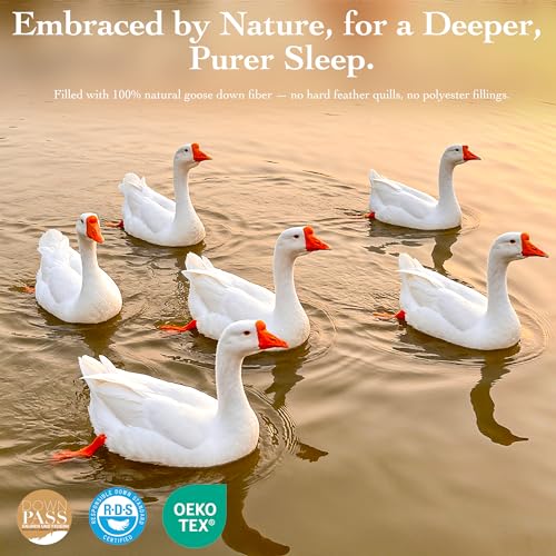Gehtmnl Goose Down Fiber Comforter Queen Size – All Season Naturally Breathable Down Comforters, Luxury Hotel Collection Duvet Insert with 8 Corner Tabs, Cotton Fabric & Baffle Box (White,50oz Fill) - Image 3