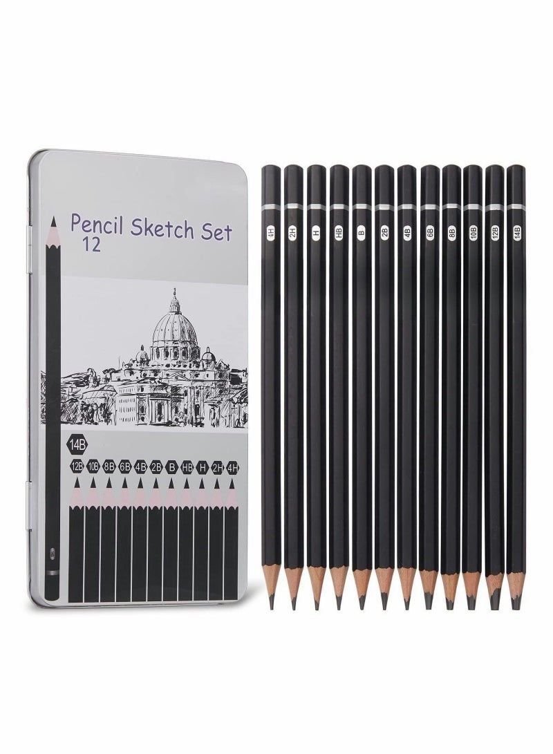 XiuWoo Professional Drawing Sketching Pencil Set - 12 Pack Art Sketch Pencils, Graphite Pencils(14B 4H), Ideal for Drawing, Pencils and Shading, Back to School Supplies  - Image 1