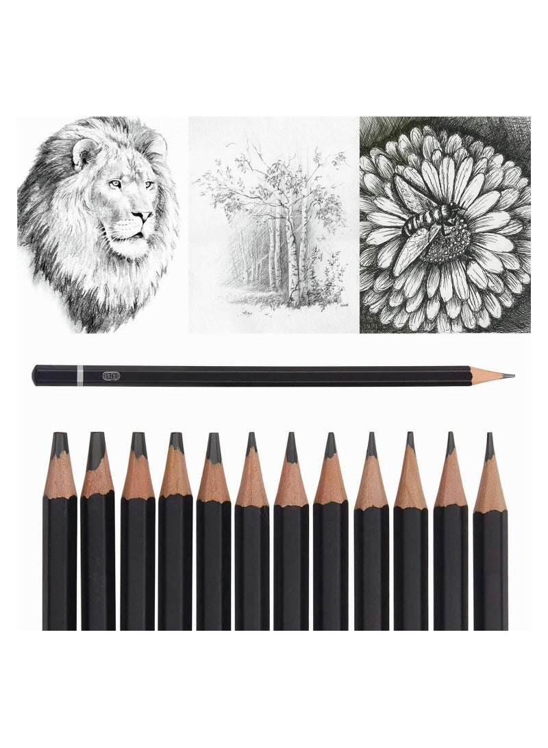 XiuWoo Professional Drawing Sketching Pencil Set - 12 Pack Art Sketch Pencils, Graphite Pencils(14B 4H), Ideal for Drawing, Pencils and Shading, Back to School Supplies  - Image 3