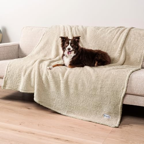 PetAmi Fluffy Waterproof Dog Blanket for Bed Large Dogs, Soft Warm Pet Sherpa Throw Pee Proof Couch Cover, Reversible Cat Blanket Sofa Crate Kennel Protector, Washable Mat (Beige Cream, 60x80) - Image 1