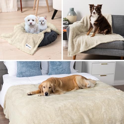 PetAmi Fluffy Waterproof Dog Blanket for Bed Large Dogs, Soft Warm Pet Sherpa Throw Pee Proof Couch Cover, Reversible Cat Blanket Sofa Crate Kennel Protector, Washable Mat (Beige Cream, 60x80) - Image 5