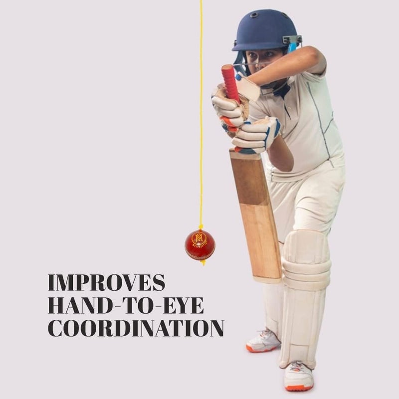 SLYK Leather Hanging Cricket Ball for Practice – Leather String Ball for Bat Knocking, Shot Training, Skill Development & Hand-Eye Coordination (ShakePro (String Shakes Inside)) - Image 2