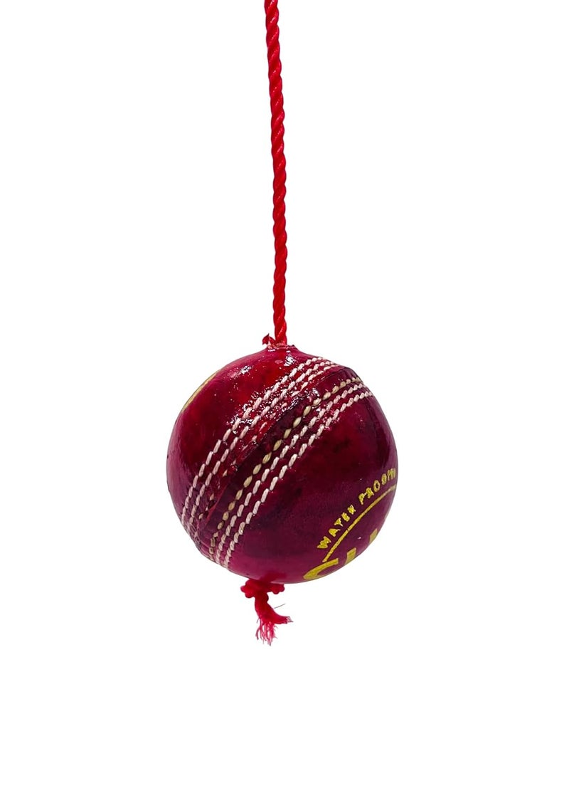 SLYK Leather Hanging Cricket Ball for Practice – Leather String Ball for Bat Knocking, Shot Training, Skill Development & Hand-Eye Coordination (ShakePro (String Shakes Inside)) - Image 4