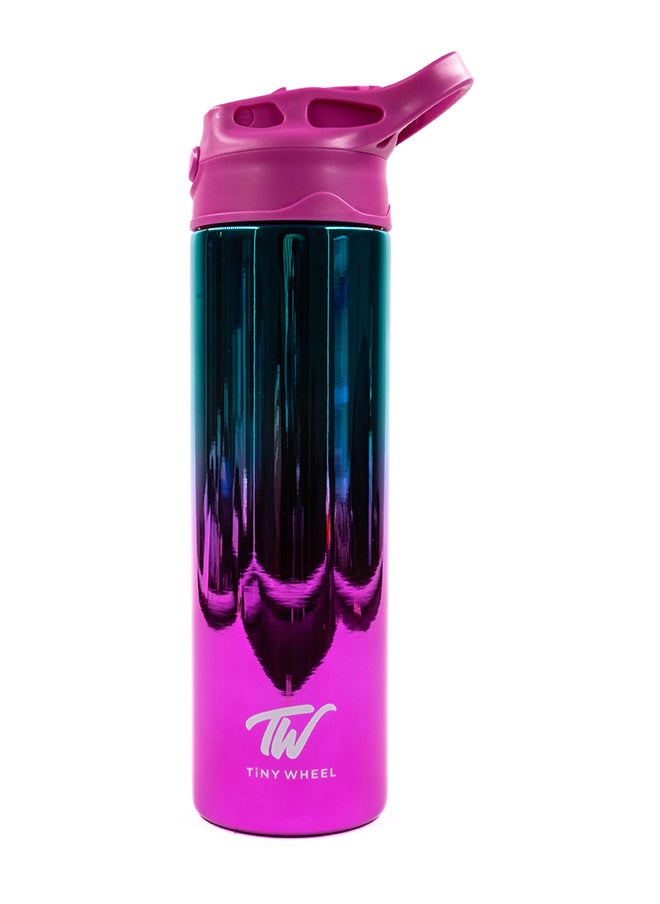 TINY WHEEL Tiny wheel Reflective Water Bottle baby Steel Pink 530ml  - Image 1