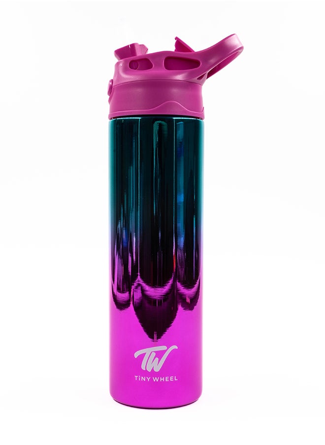 TINY WHEEL Tiny wheel Reflective Water Bottle baby Steel Pink 530ml  - Image 2