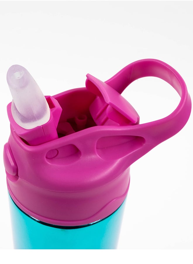 TINY WHEEL Tiny wheel Reflective Water Bottle baby Steel Pink 530ml  - Image 3