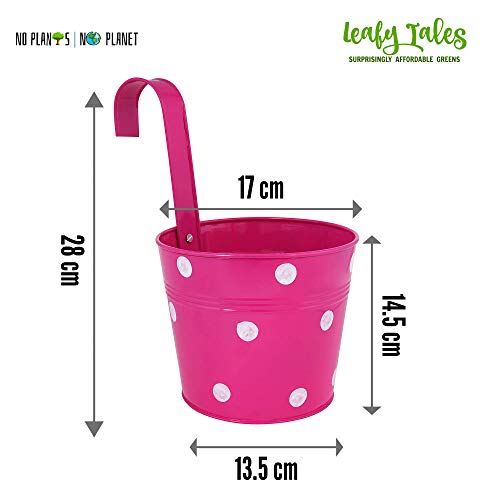 Leafy Tales Single Pot Metal Hanging Planter - Set of 10 (Rust Free - Red, Green, Yellow, Pink, Purple) - Single Hanger, 14 cm x 17 cm x 14.5 cm - Image 4