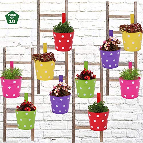 Leafy Tales Single Pot Metal Hanging Planter - Set of 10 (Rust Free - Red, Green, Yellow, Pink, Purple) - Single Hanger, 14 cm x 17 cm x 14.5 cm - Image 1