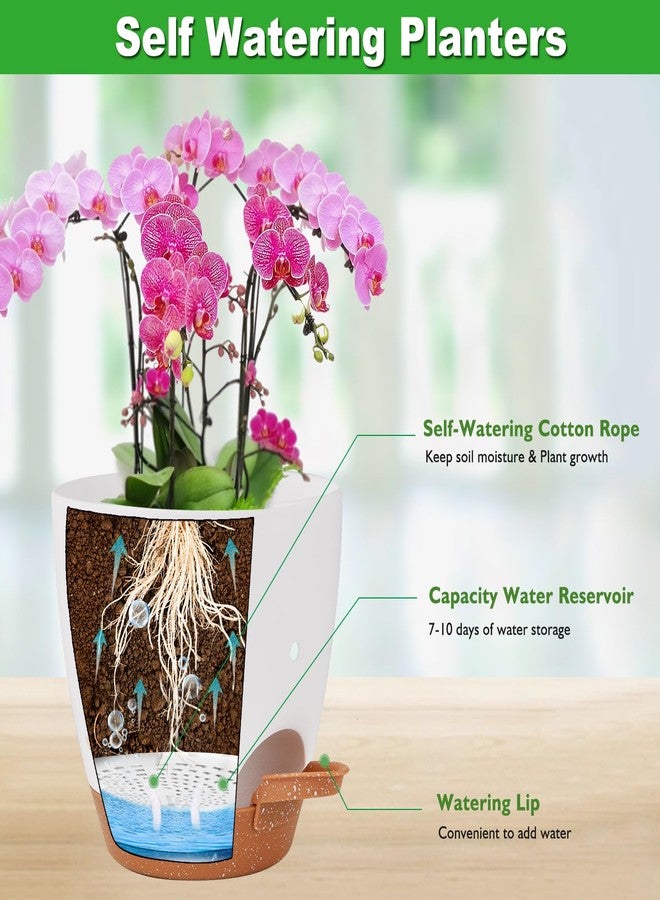 Vanslogreen 6 Inch Orchid Pots with Holes, 3 Pack Self Watering Planters for Orchids Plastic Orchid Pot Plant Flower Pots for Orchids Indoor Outdoor (Multicolor) - Image 3